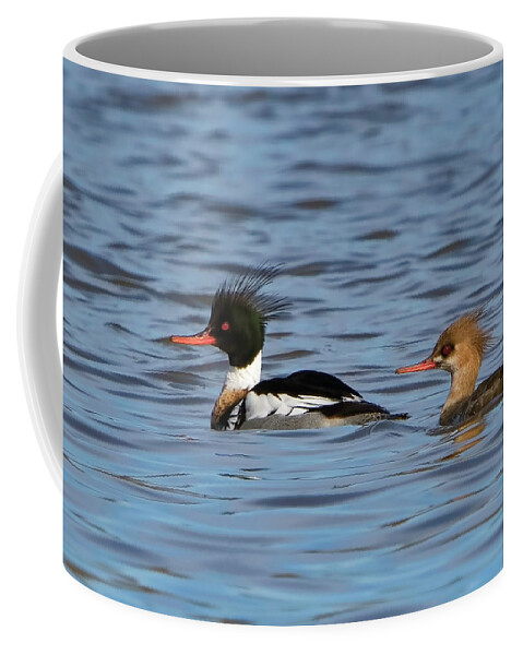 Bird Coffee Mug featuring the photograph Male and Femaile Red-Breasted Mergansers by Ron Grafe