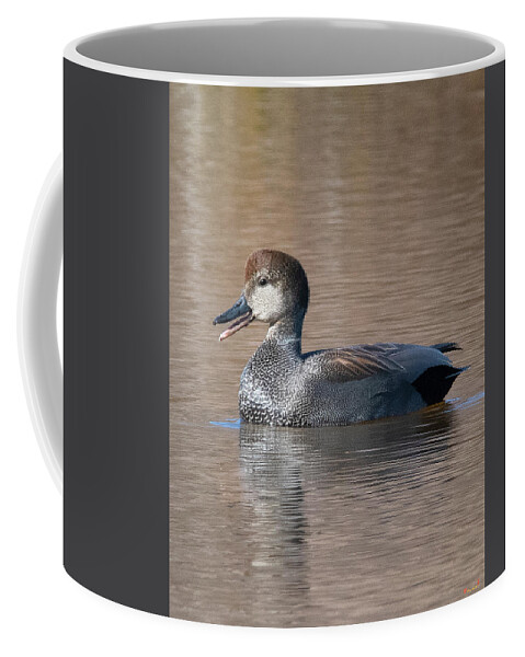 Nature Coffee Mug featuring the photograph Male Common Gadwall DWF0226 by Gerry Gantt