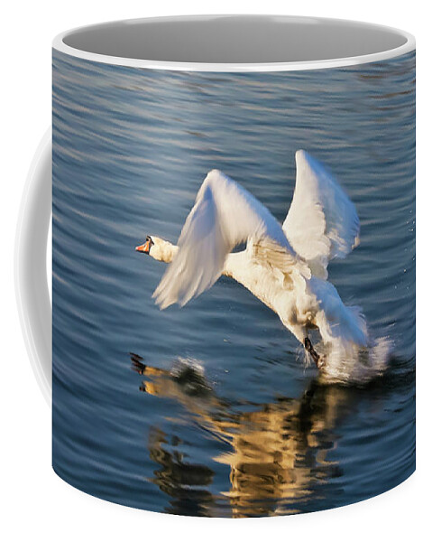 Male Coffee Mug featuring the photograph Male Swan taking off by Tatiana Travelways