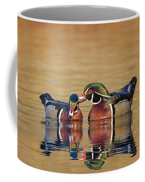 Wood Ducks Coffee Mug featuring the photograph Male Wood Ducks by Susan Candelario