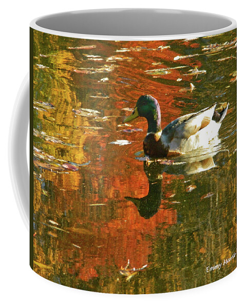 Autumn Coffee Mug featuring the photograph Mallard Duck In the Fall by Emmy Marie Vickers