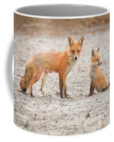 New Jersey Coffee Mug featuring the photograph Mama Fox and Kit by Kristia Adams
