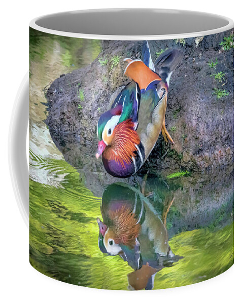 Mandarin Duck Coffee Mug featuring the photograph Mandarin Duck by Nadia Sanowar