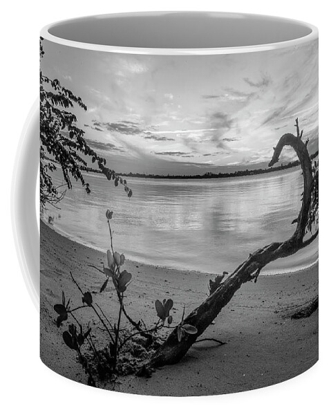 Black Coffee Mug featuring the photograph Mangroves Black and White by Debra and Dave Vanderlaan