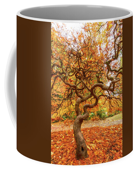 Outdoor; Fall; Colors; Autumn; Tree; Maple; Maple Tree; Seattle; Garden; Arboretum; Washington Park Arboretum Coffee Mug featuring the digital art Maple at Woodland Park by Michael Lee