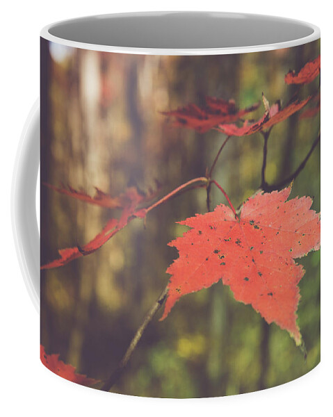 Maple Coffee Mug featuring the photograph Maple I'll have another by Stacy Abbott