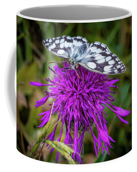 Marble White Coffee Mug featuring the photograph Marble White Butterfly by Shirley Mitchell