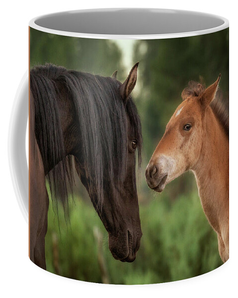 Stallion Coffee Mug featuring the photograph Mare and Colt. by Paul Martin
