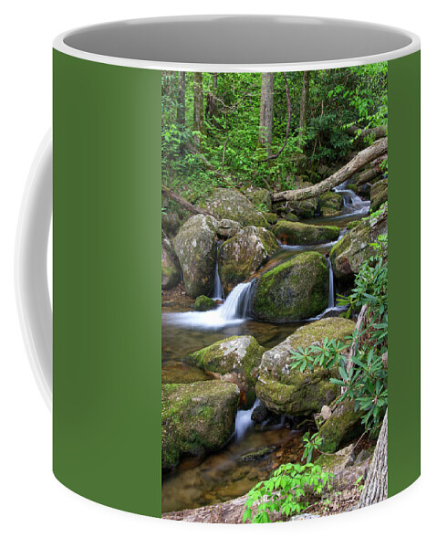 Margarette Falls Coffee Mug featuring the photograph Margarette Falls 20 by Phil Perkins