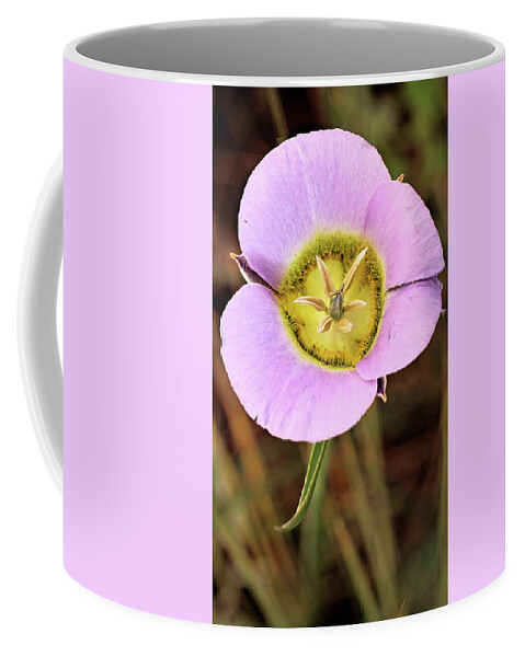 Flower Coffee Mug featuring the photograph Mariposa Lily by Bob Falcone