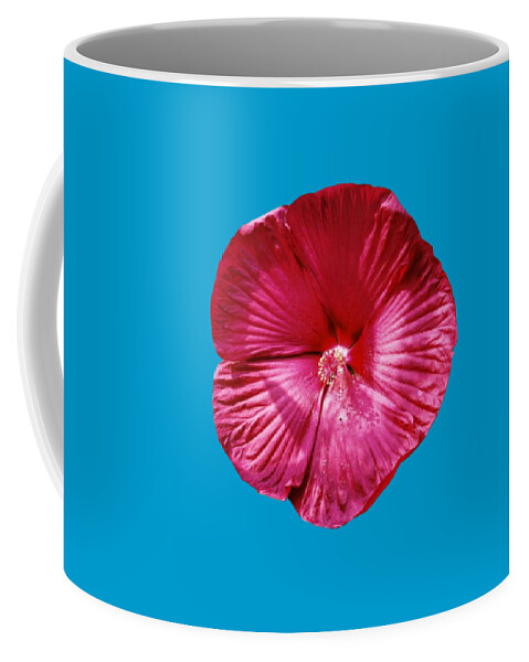 Flower Coffee Mug featuring the photograph Maroon Hardy Hibiscus by Nancy Ayanna Wyatt