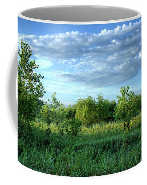 Cottonwood Coffee Mug featuring the photograph Marsh Cottonwoods 2 by Bonfire Photography