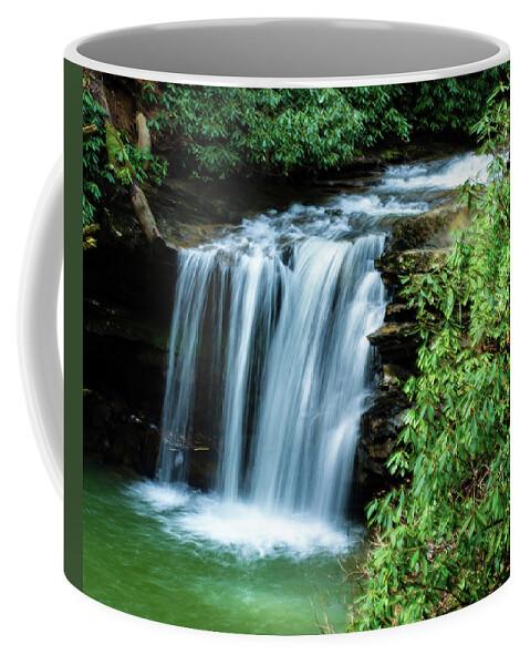 Waterfalls Coffee Mug featuring the photograph Marsh Fork Falls by Flees Photos