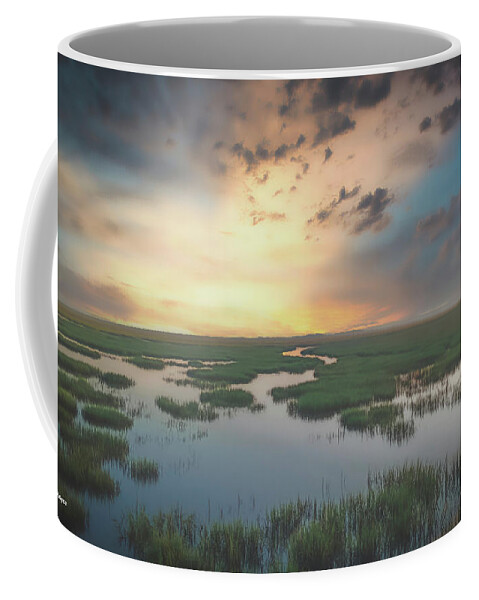 Landscapes Coffee Mug featuring the photograph Marshes of Glynn by DB Hayes