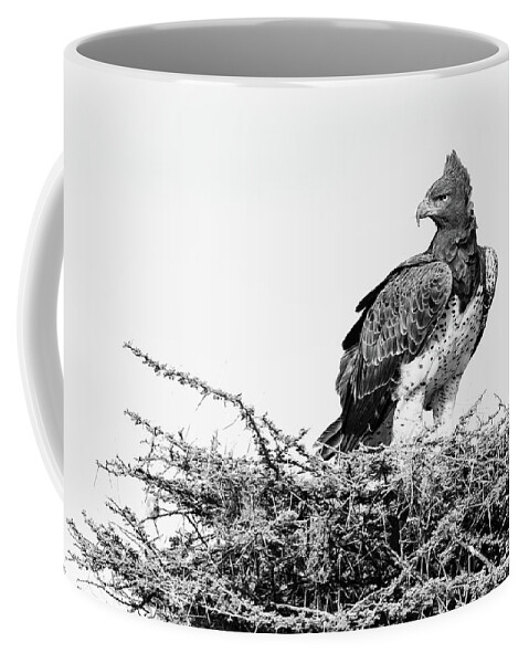 Martial Eagle Coffee Mug featuring the photograph Martial Eagle by Max Waugh
