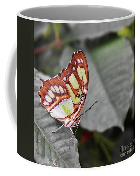Marvelous Coffee Mug featuring the photograph Marvelous Malachite by Ron Long