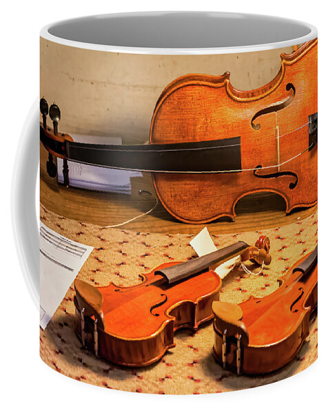  Coffee Mug featuring the photograph Master to Apprentices by Charles McCleanon