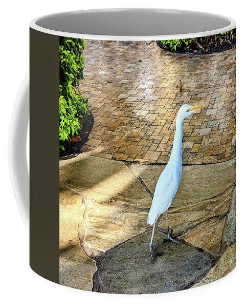 Egret Coffee Mug featuring the photograph Maui Egret by Steed Edwards