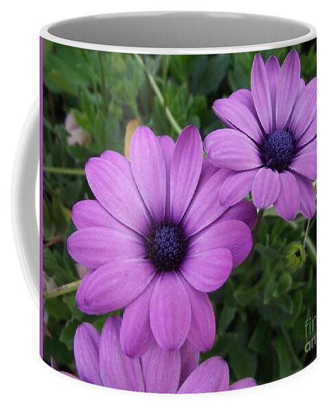 Flowers Coffee Mug featuring the photograph Mauve Muses by Kimberly Furey