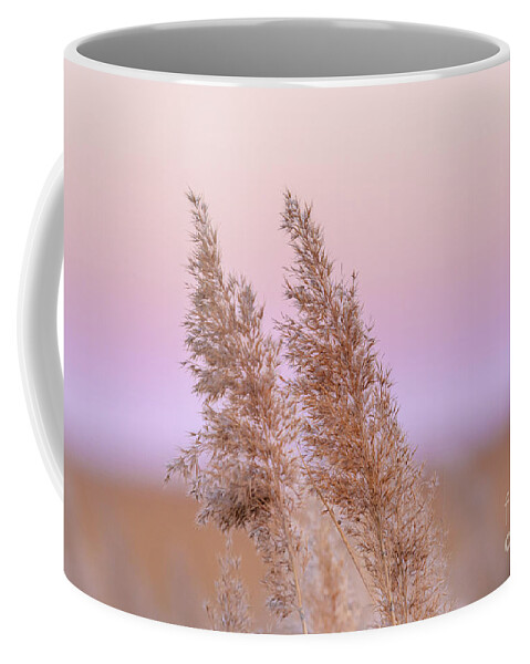 Meadow Grass Coffee Mug featuring the photograph Meadow breeze by Rehna George