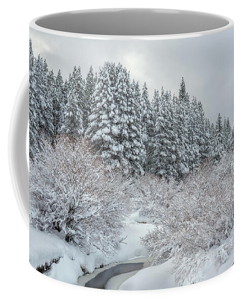 California U.s.a. Coffee Mug featuring the photograph Meadow Creek After The Storm by PROMedias US