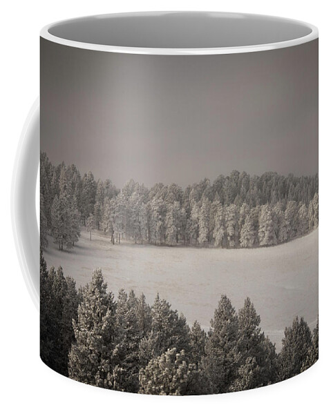Snow Coffee Mug featuring the photograph Mountain Meadow in Winter by Kevin Schwalbe