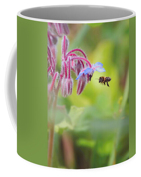 Macro Coffee Mug featuring the photograph Meadow life 22 by Jaroslav Buna
