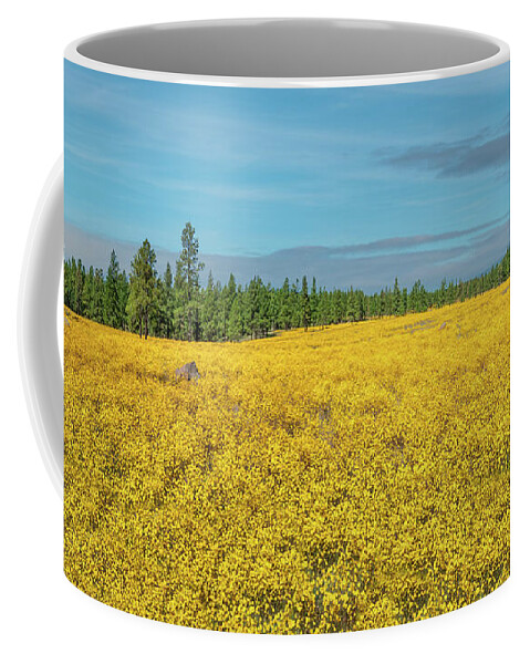 Arizona Coffee Mug featuring the photograph Meadow of Yellow Wildflowers by Jeff Goulden