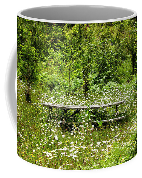 Daisys Coffee Mug featuring the photograph Meadow Picnic by Cheryl Day