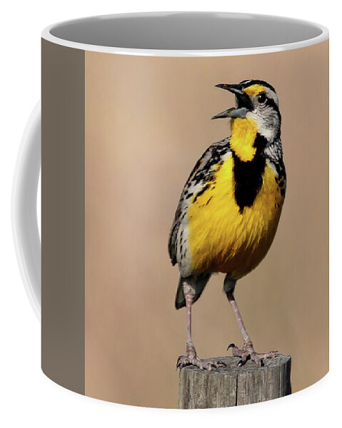 Meadowlark Coffee Mug featuring the photograph Meadowlark Trilogy 3 by HH Photography of Florida