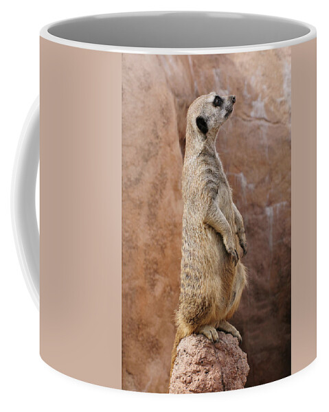 Alert Coffee Mug featuring the photograph Meerkat Sentry 1 Meerkat sentry standing guard duty perched on a rock by Tom Potter