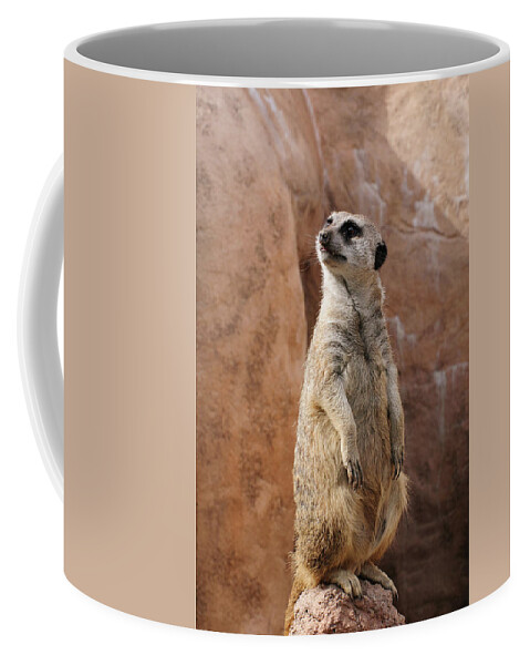 Alert Coffee Mug featuring the photograph Meerkat sentry standing guard duty perched on a rock at attention by Tom Potter