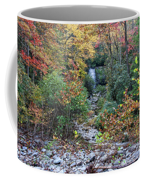 Smoky Mountains Coffee Mug featuring the photograph Meigs Falls 13 by Phil Perkins