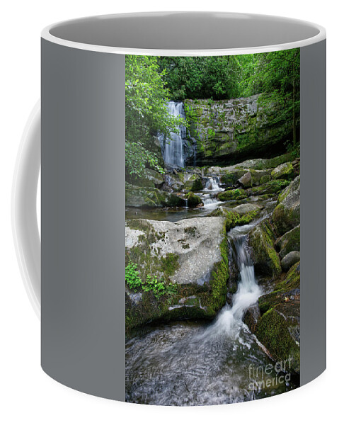 Smoky Mountains Coffee Mug featuring the photograph Meigs Falls 18 by Phil Perkins