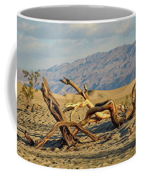 Landscape Coffee Mug featuring the photograph Mesquite by Jermaine Beckley