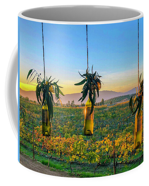 Sunset Coffee Mug featuring the photograph Mexico Wine Country Sunset by William Scott Koenig