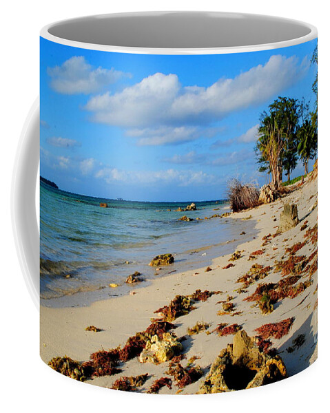 Beach Coffee Mug featuring the photograph Micro Beach by On da Raks