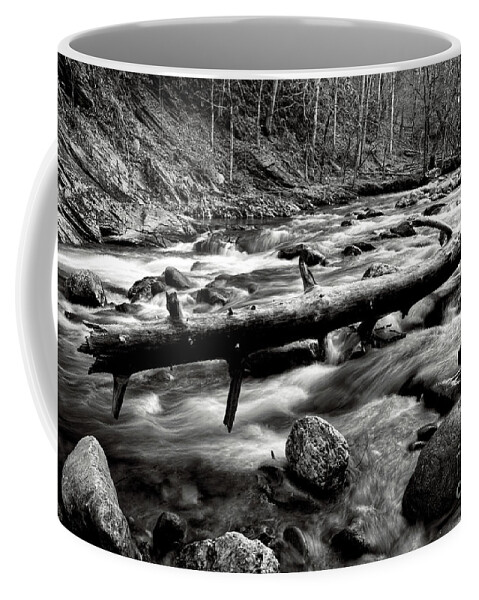 Middle Prong Trail Coffee Mug featuring the photograph Middle Prong Little River 5 by Phil Perkins