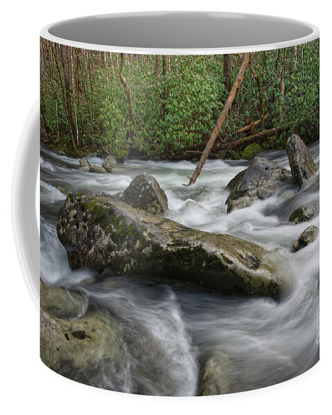 Middle Prong Little River Coffee Mug featuring the photograph Middle Prong Little River 56 by Phil Perkins