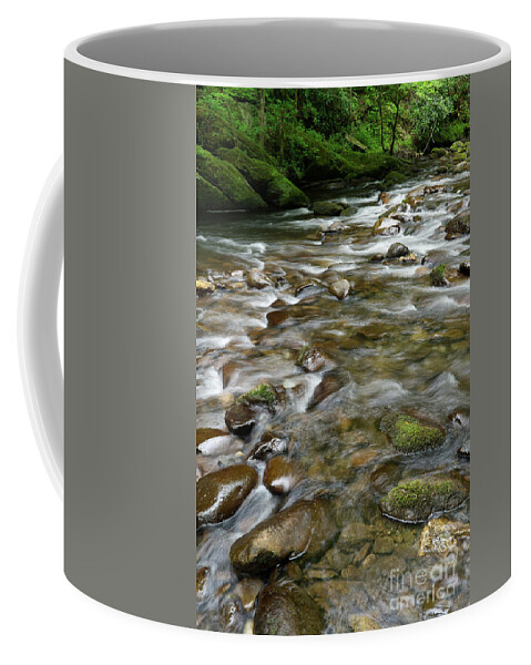 Middle Prong Little River Coffee Mug featuring the photograph Middle Prong Little River 64 by Phil Perkins