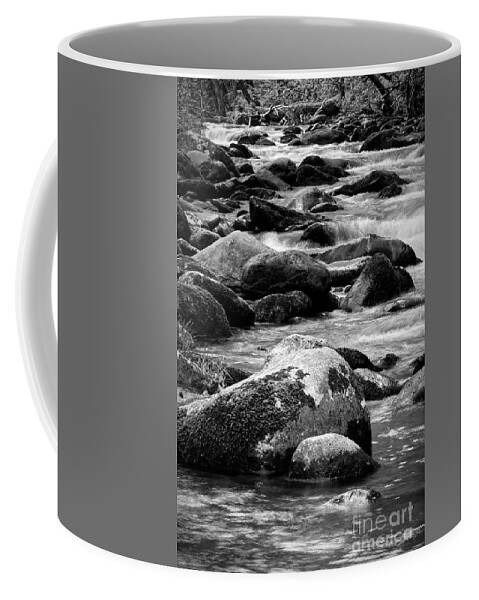Middle Prong Trail Coffee Mug featuring the photograph Middle Prong Little River 7 by Phil Perkins
