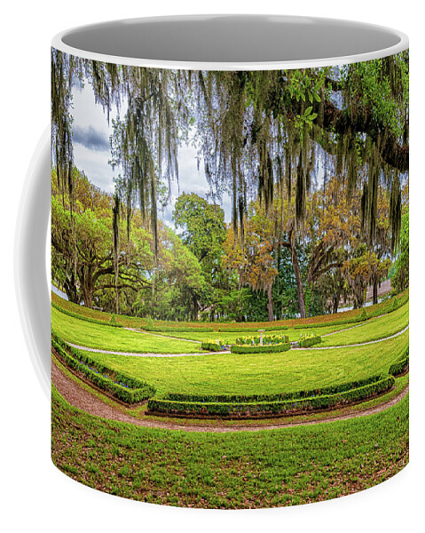 Middleton Ok Tree Coffee Mug featuring the photograph Middleton Plantation Landscape by Louis Dallara