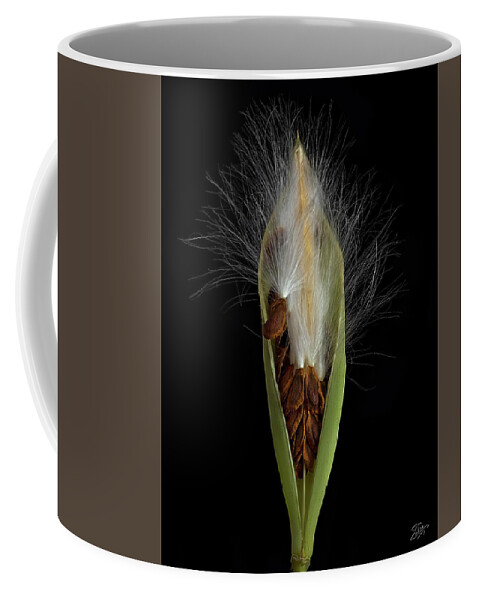Milkweed Coffee Mug featuring the photograph Milkweed Pod 2 by Endre Balogh