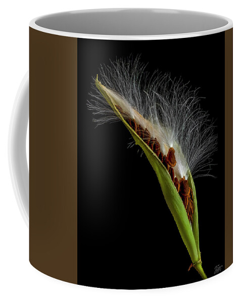 Milkweed Coffee Mug featuring the photograph Milkweed Pod 3 by Endre Balogh