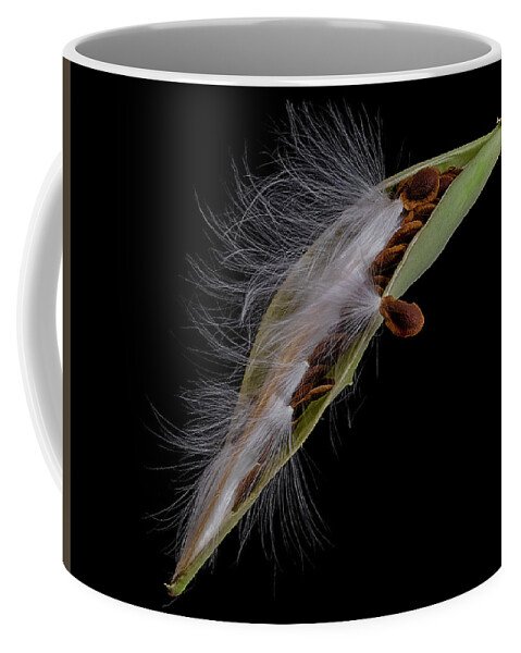 Milkweed Coffee Mug featuring the photograph Milkweed Pod 4 by Endre Balogh