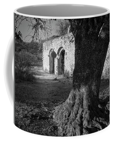 Abandoned Coffee Mug featuring the photograph Mina Cinca Senores or Tree at Abandoned Mexican Silver Mine by Mary Lee Dereske