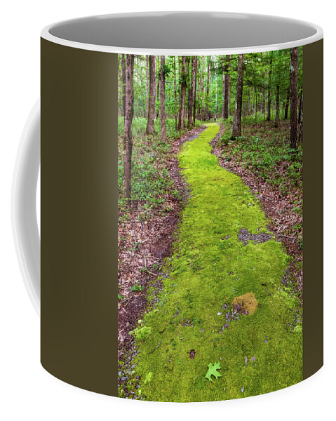 Trails Coffee Mug featuring the photograph Minisink Battleground Park Trail by Amelia Pearn