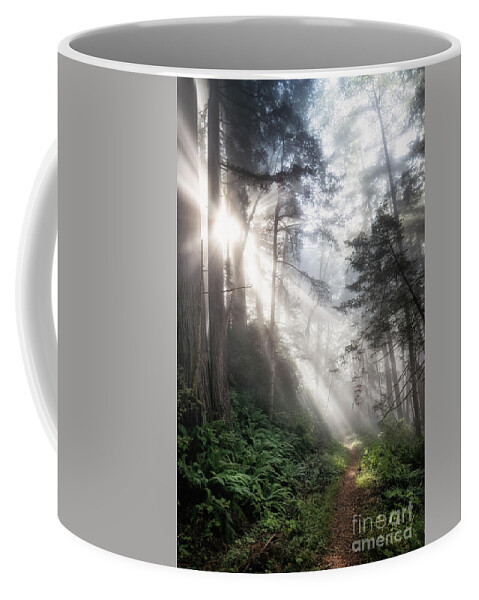 Alder Coffee Mug featuring the photograph Mist On Last Chance Coastal Trail 4 by Al Andersen