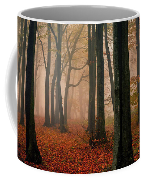 Balkan Mountains Coffee Mug featuring the photograph Misty Autumn Forest by Evgeni Dinev