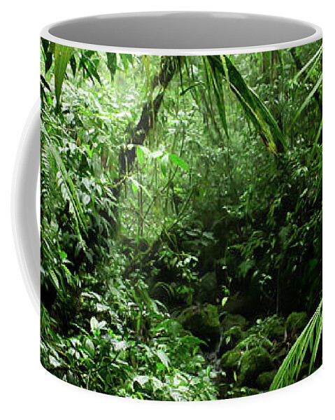 #faatoppicks Coffee Mug featuring the photograph Misty Rainforest Creek by Nicklas Gustafsson